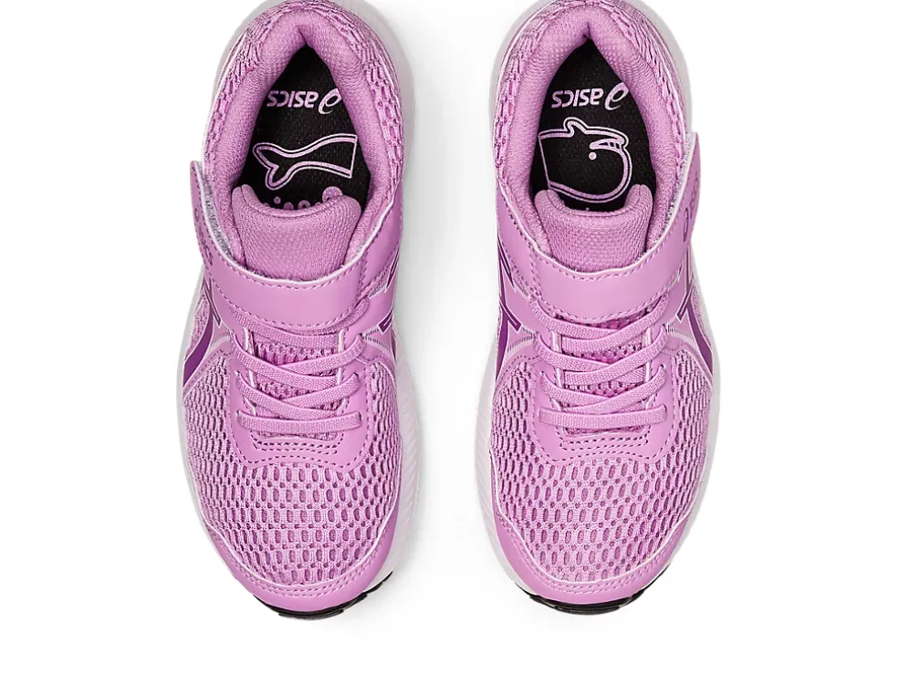 Shop ASICS CONTEND 7 PRE-SCHOOL Lavender Glow/Orchid