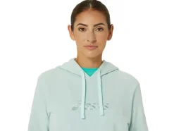 Online ASICS FRENCH TERRY PULLOVER HOODIE Pale Blue