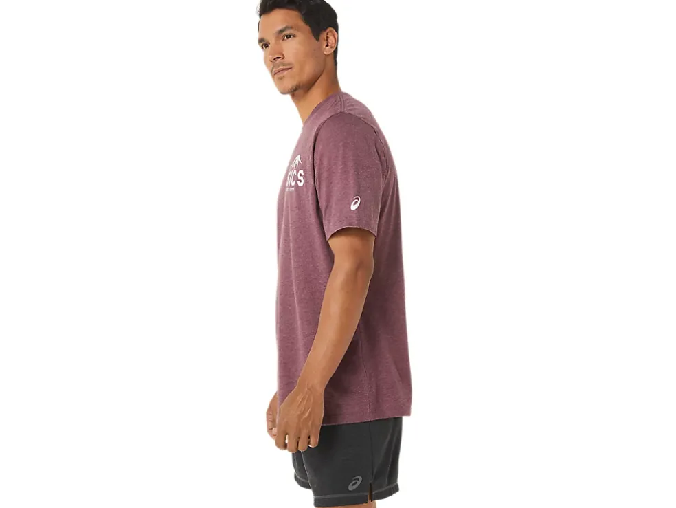 Shop ASICS FUJI 1977 TEE Deep Mars Heather