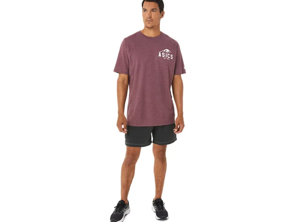 Shop ASICS FUJI 1977 TEE Deep Mars Heather