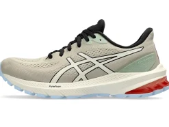 Cheap ASICS GT-1000 12 TR Nature Bathing/Rose Rouge