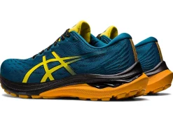 Sale ASICS GT-2000 11 TR WIDE NATURE BATHING Nature Bathing/Golden Yellow
