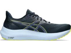 Online ASICS GT-2000 12 WIDE French Blue/Bright Yellow