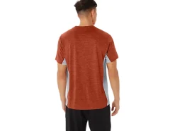 Flash Sale ASICS MEN TRAIN SANA SHORT SLEEVE Spice Latte/Sheet Rock