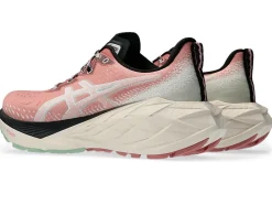 Online ASICS NOVABLAST 4 TR Nature Bathing/Rose Rouge