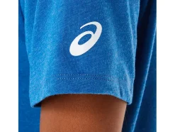 Flash Sale ASICS SHORT SLEEVE EST 1977 V-NECK TEE Lake Drive