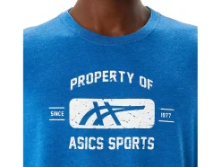 Clearance ASICS SHORT SLEEVE PROPERTY OF SPORTS TEE Lake Drive Heather