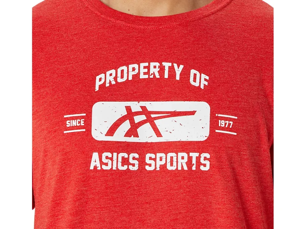 Hot ASICS SHORT SLEEVE PROPERTY OF SPORTS TEE Classic Red Heather